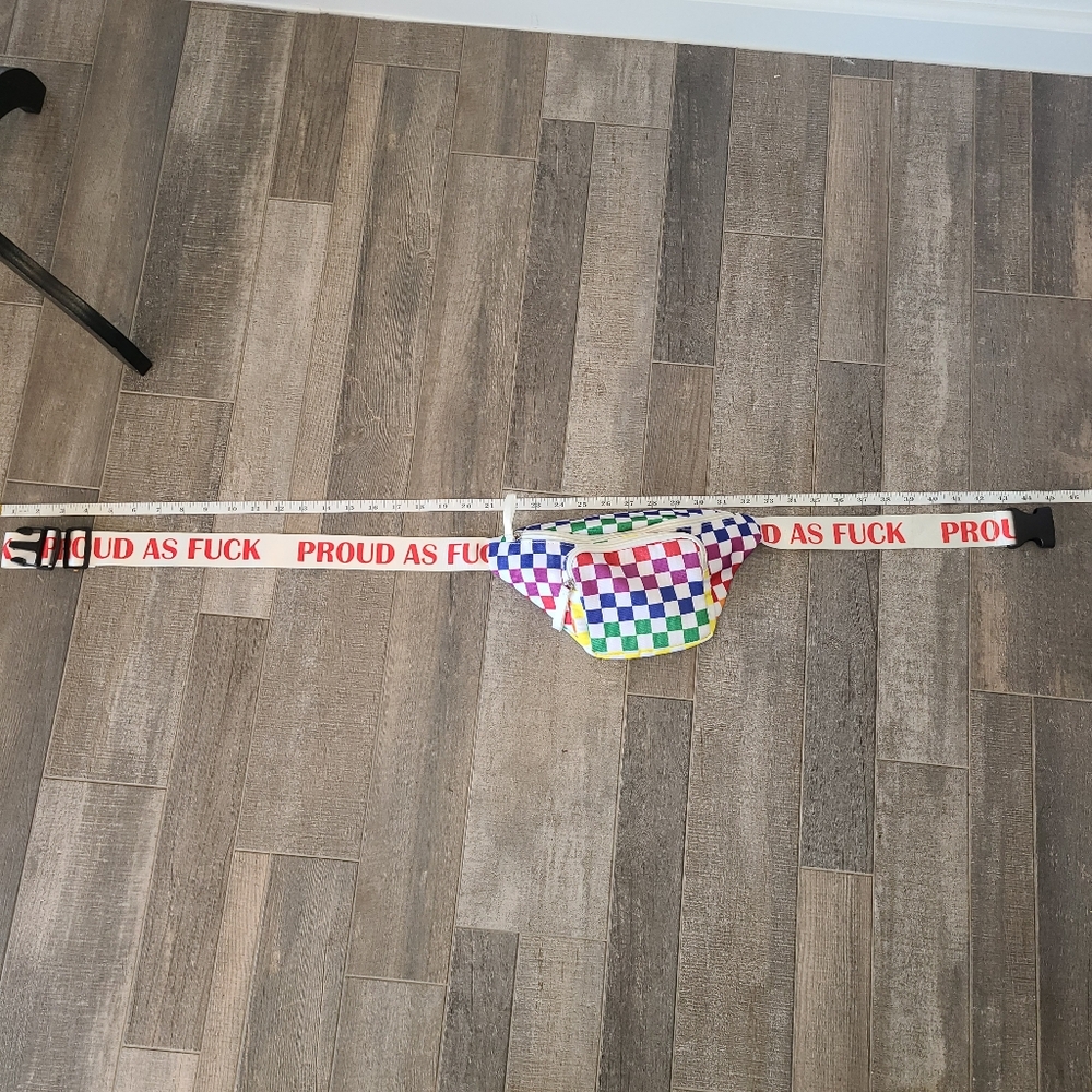 Pride Fannie Pack - Picture 4 of 11